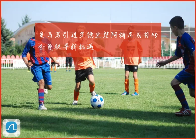 皇马若引进罗德里楚阿梅尼或将转会曼联寻新机遇