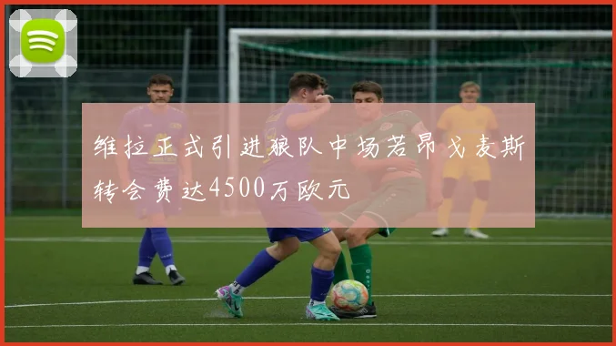 维拉正式引进狼队中场若昂戈麦斯转会费达4500万欧元